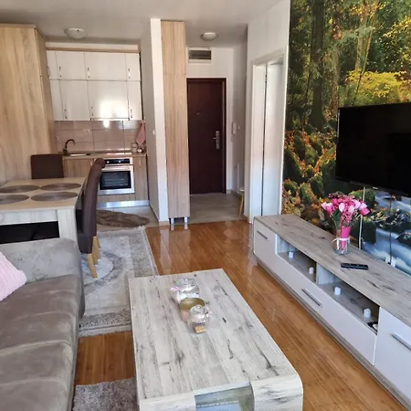 Apartment Stan Na Dan Mitrovic